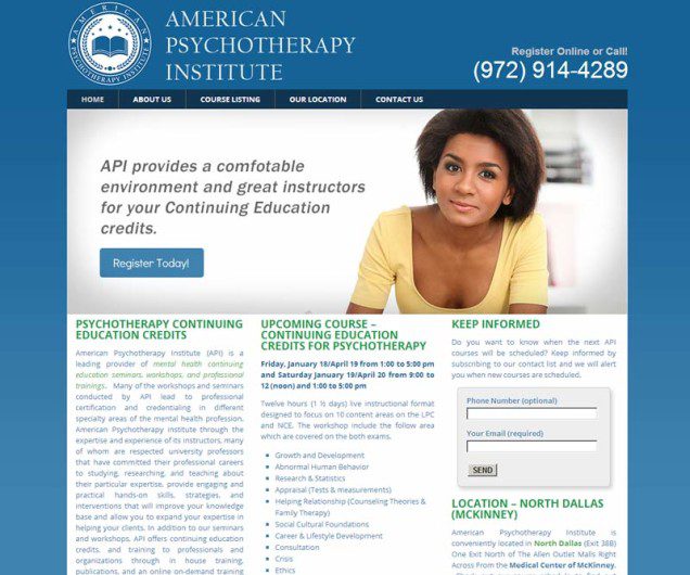American Psychotherapy Institute